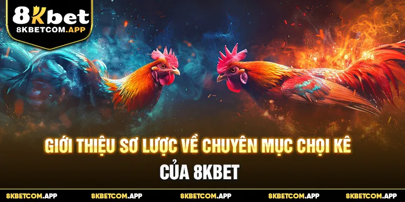 Giới thiệu sơ lược về chuyên mục chọi kê của 8KBET